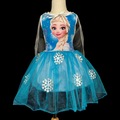 Selling with online payment: Disney Frozen Elsa Dress size 3T