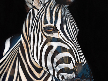 Sell Artworks: Stripes - Zebra