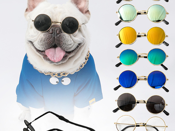 Buy Now: 100 Pcs Cute Pet Small Sunglasses Toy,Assorted Colors