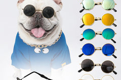 Comprar ahora: 100 Pcs Cute Pet Small Sunglasses Toy,Assorted Colors