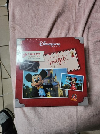 Coffret cadeau Disneyland Paris - Tick'nBox