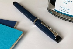 Renting out: Pilot Custom Heritage 91 (FM)