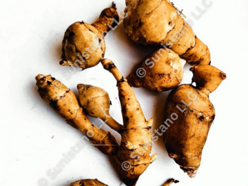 pay online only: PREORDER: Starwhite Cluster Sunchoke tubers for planting