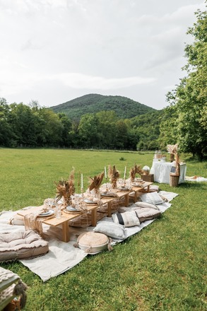 Picnic "FRIENDS" 