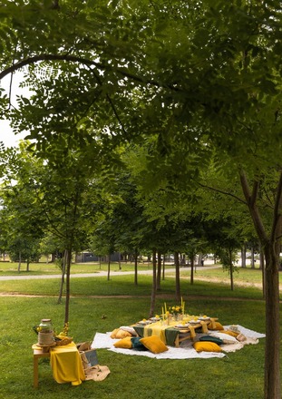 Picnic "FRIENDS" 
