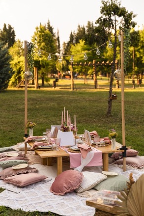 Picnic "FRIENDS" 