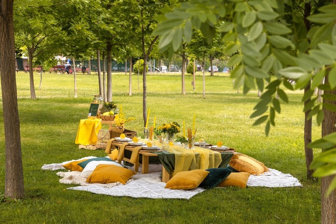Picnic "FRIENDS" 