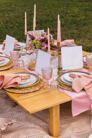 Picnic "FRIENDS" 