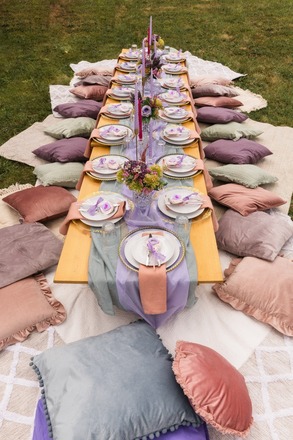 Picnic "FRIENDS" 