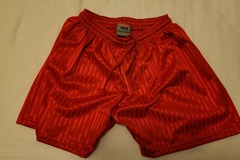 Selling With Online Payment: Red Shorts