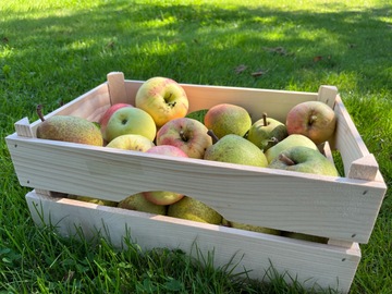 Selling: Appels en peren