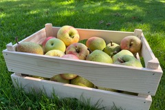 Verkopen: Appels en peren