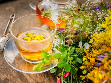 AGENDAR: NUTRIÇÃO FITOTERAPIA