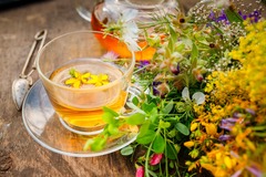 AGENDAR: NUTRIÇÃO FITOTERAPIA