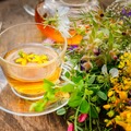 AGENDAR: NUTRIÇÃO FITOTERAPIA