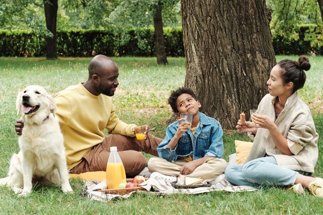 Picnic Paradise in the Park!