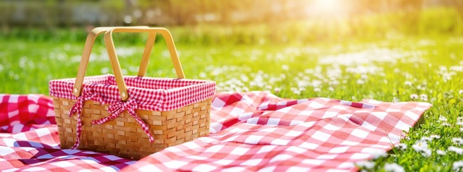 Picnic Paradise in the Park!