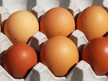 Selling with In-person Payment: Small Farm Brown Chicken Eggs Lake Wylie/Clover, SC