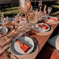 Offering with online payment: Luxury Picnic Packages