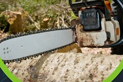 Request a quote: Tree Services in the Houston Area