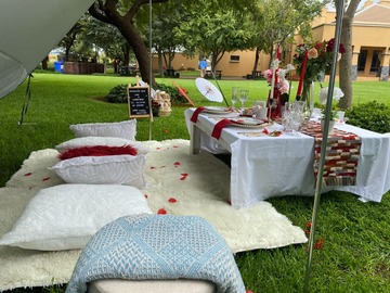 Offering without online payment (No Fees): Romantic Luxury Picnic