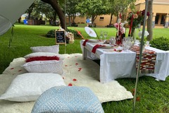 Offering without online payment (No Fees): Romantic Luxury Picnic