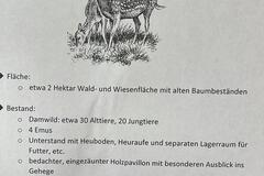 Verkaufen: Wildgehege in Oberammersdorf zu verkaufen 