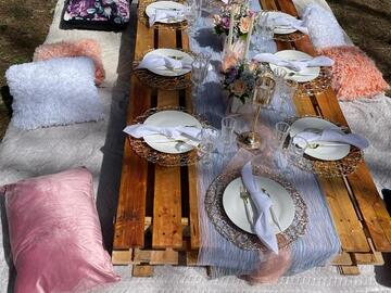 Offering with online payment: Luxury Picnic in Pretoria