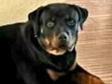  : Thor