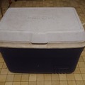 Rent per day: 50 qt Ice Chest/Cooler