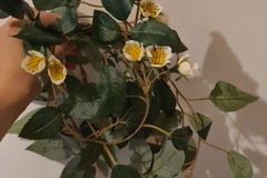 Myydään (Yksityinen): Laatikollinen hääkoristeita