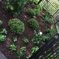 Request a quote: Landscaping and Hardscaping installation