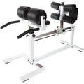 Buy it Now w/ Payment: York barbell STS Glute Ham Developer Machine