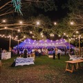 Renting out with online payment: Festoon Lights for Hire
