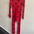 Selling with online payment: Ladybug suit
