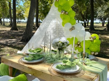 Offering with online payment: Luxury Picnics in Houston, Tx