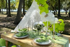 Offering with online payment: Luxury Picnics in Houston, Tx