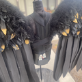 Selling with online payment: Mechanical Wings