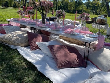 Offering with non-refundable deposit : Luxe Picnics