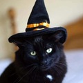 Selling: Friday the 13th Tarot Reading Special