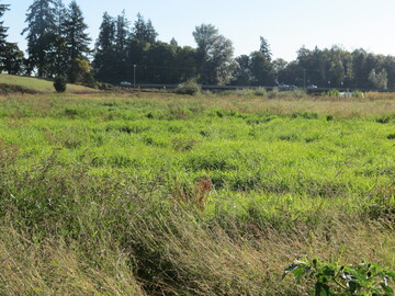 Daily Rentals: Keizer OR, Lake Labish Farms Great Overnight Parking
