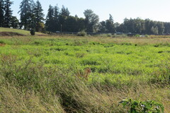 Daily Rentals: Keizer OR, Lake Labish Farms Great Overnight Parking