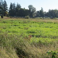 Daily Rentals: Keizer OR, Lake Labish Farms Great Overnight Parking