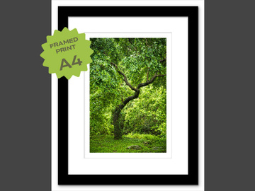  : Plover Cove CP A4 framed print