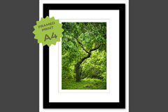  : Plover Cove CP A4 framed print