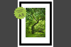  : Plover Cove CP A3 framed print