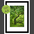  : Plover Cove CP A3 framed print