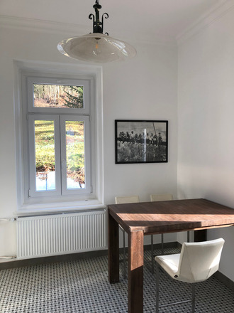 Luxusvilla 4 Wohnungen 600qm Wfl. Marienbad Tschechien 2500qm Gru