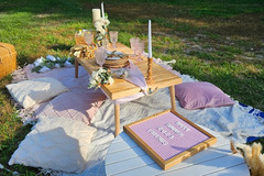 Offering with deposit : Picnic Up to 4 Guests (1 Table)