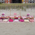 Offering with deposit : Picnic Up to 12 Guests (3 Tables)